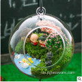 Glasflasche Terrarium Home Decor